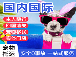 德宏机场托运国际宠物托运 【国